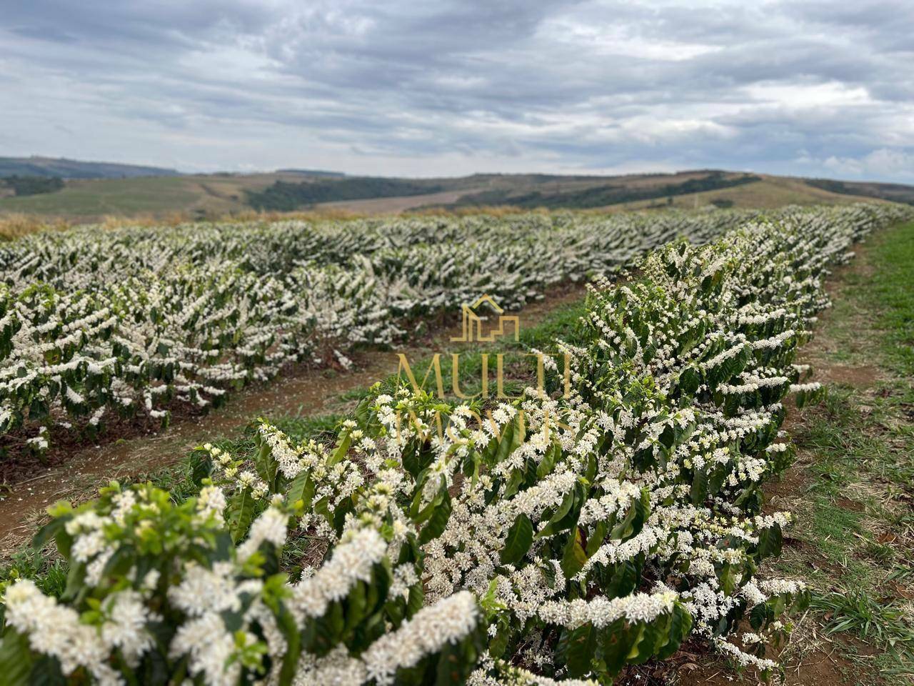 Fazenda à venda, 3200000M2 - Foto 9