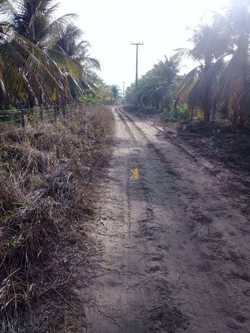 Terreno à venda, 160000M2 - Foto 4