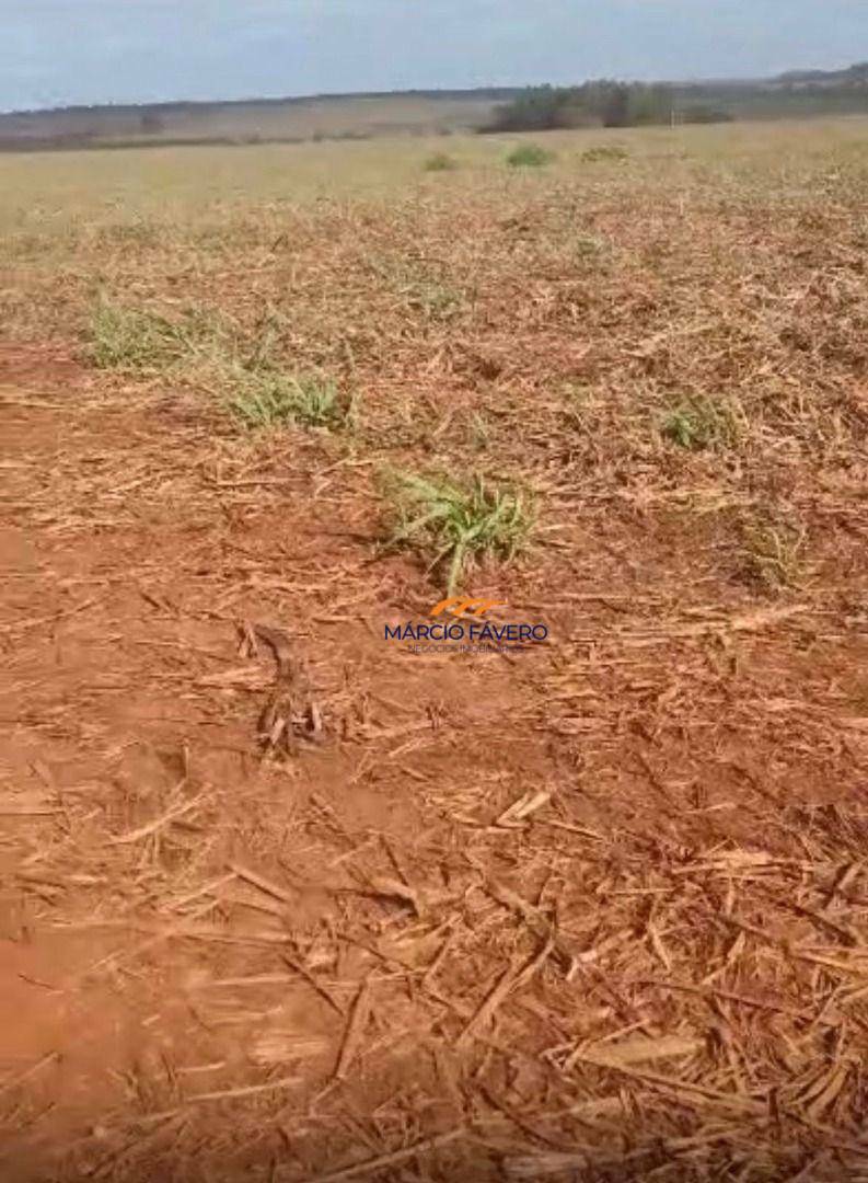 Fazenda, 242 hectares - Foto 1