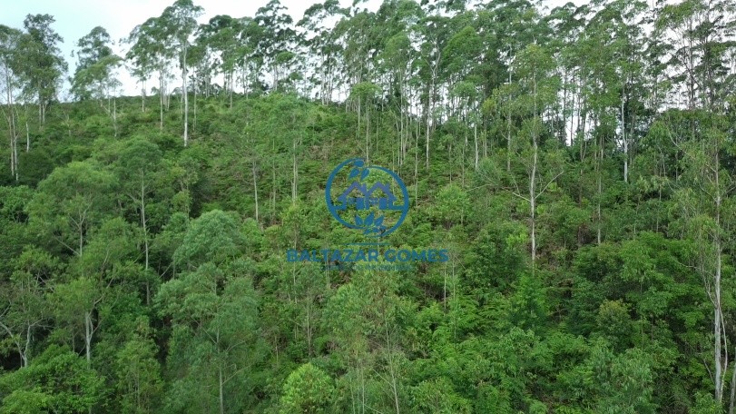 Terreno à venda, 20000m² - Foto 1