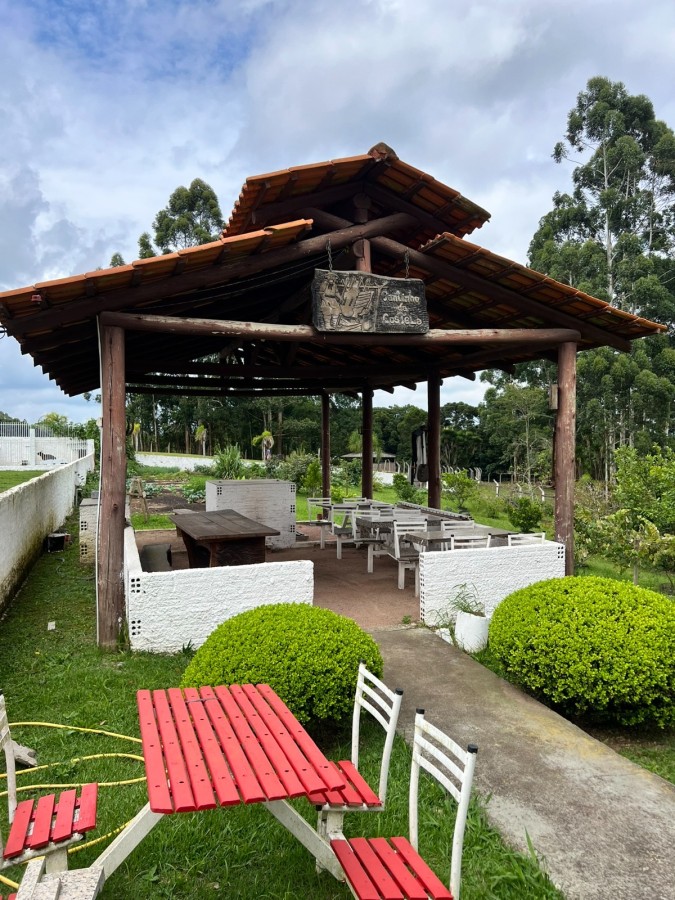Fazenda à venda, 24200m² - Foto 19
