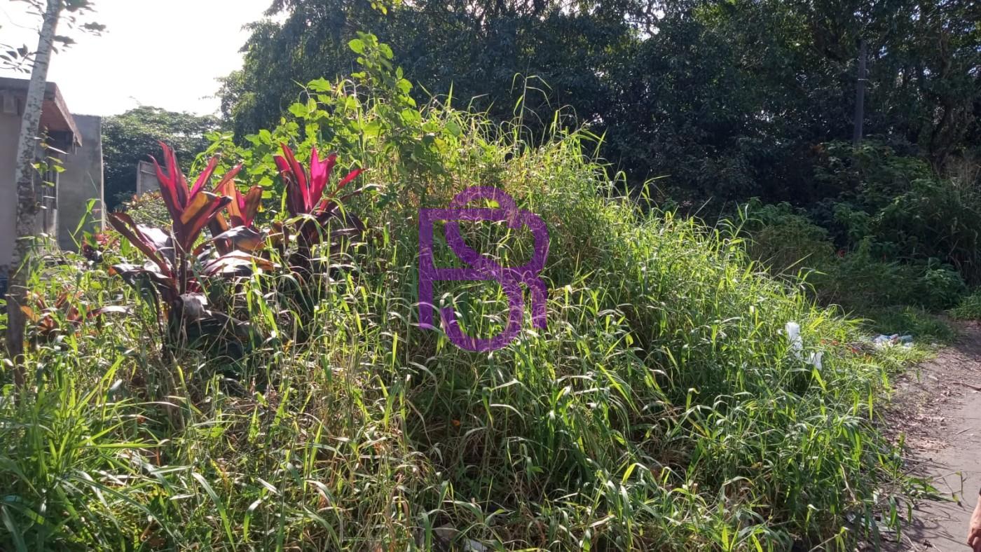 Chácara, 3 quartos, 1495 m² - Foto 27