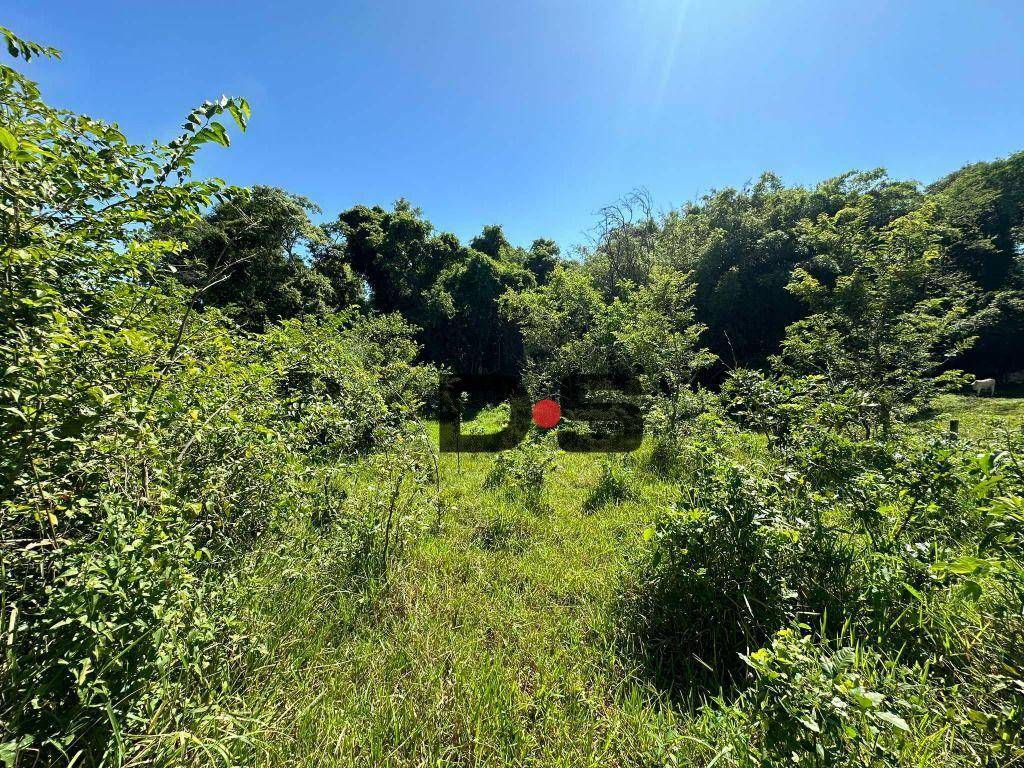 Terreno à venda, 60000M2 - Foto 12