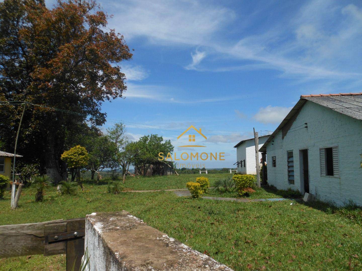 Fazenda, 100 hectares - Foto 3