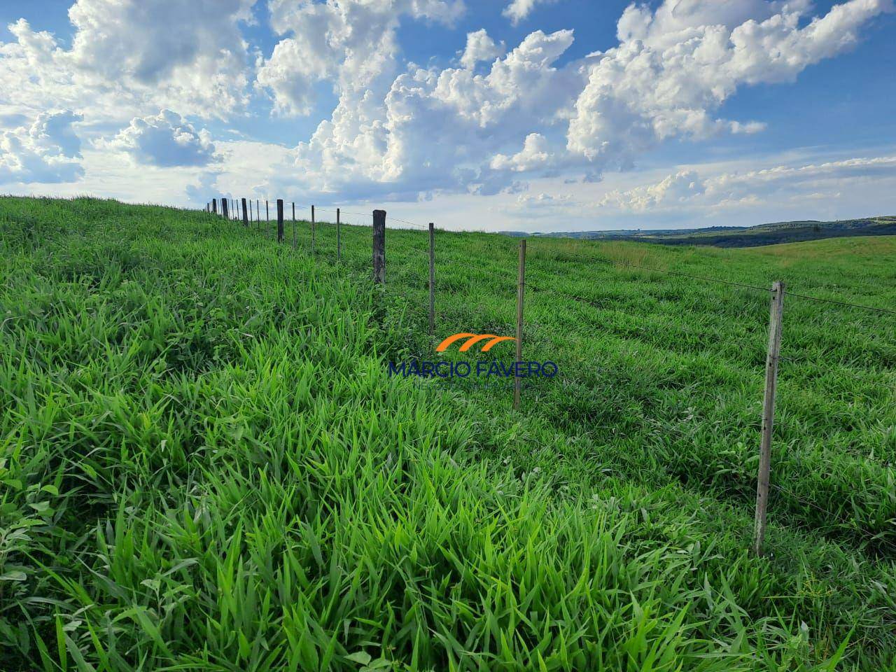 Fazenda, 571 hectares - Foto 5