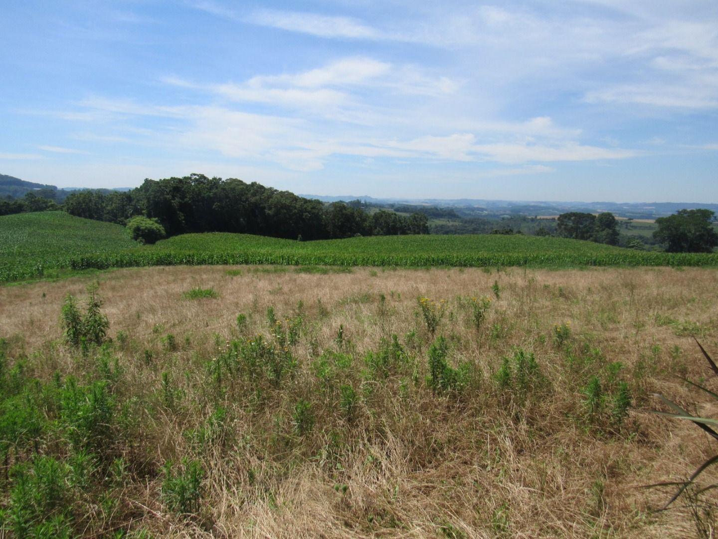 Loteamento e Condomínio à venda, 90000m² - Foto 18