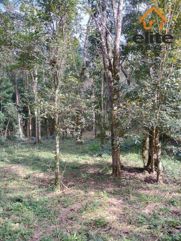 Terreno, 2494 m² - Foto 5