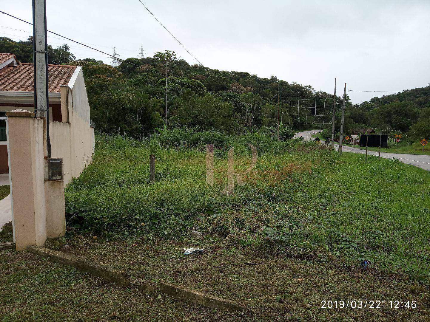 Terreno à venda, 3000M2 - Foto 5