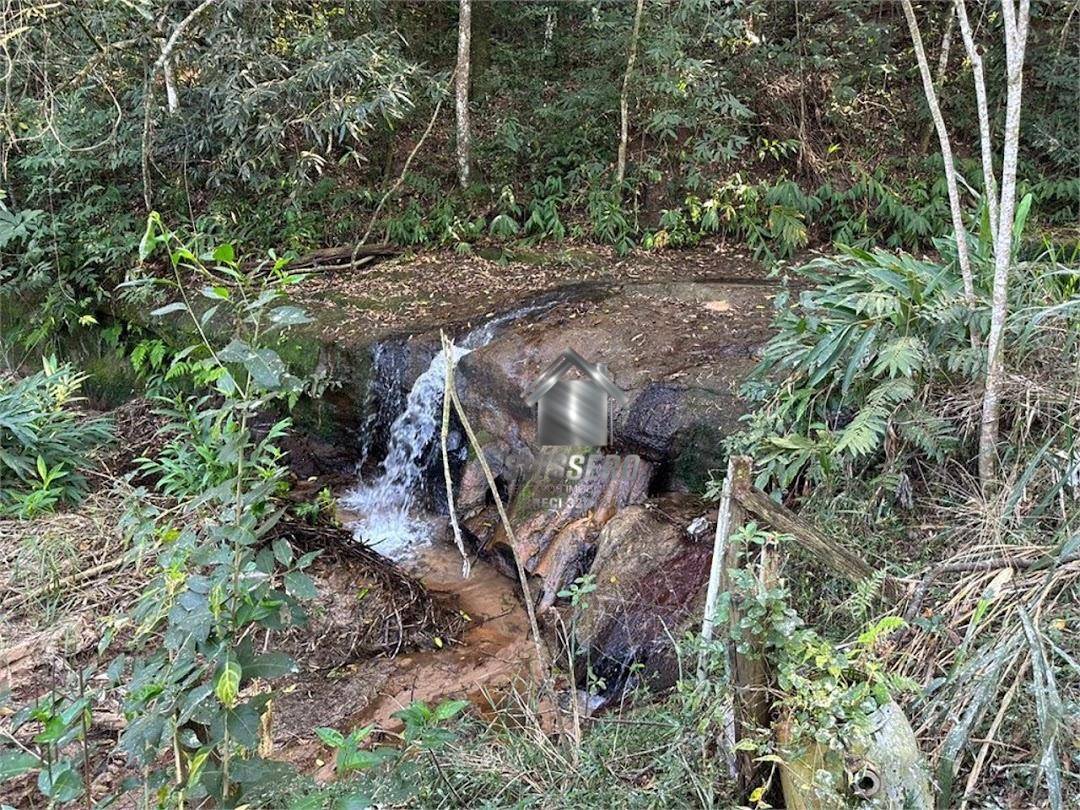 Sítio, 1 quarto, 5 hectares - Foto 3