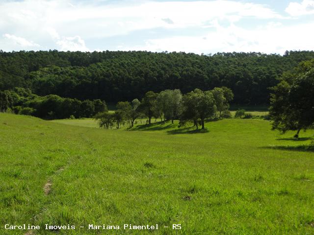 Fazenda à venda com 5 quartos, 625000m² - Foto 19