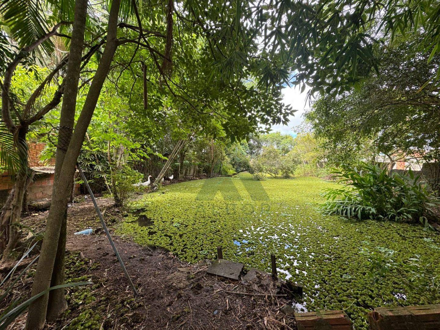 Chácara, 3 quartos, 5341 m² - Foto 1