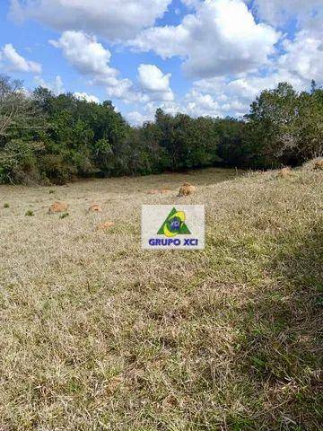 Sítio, 11 hectares - Foto 8