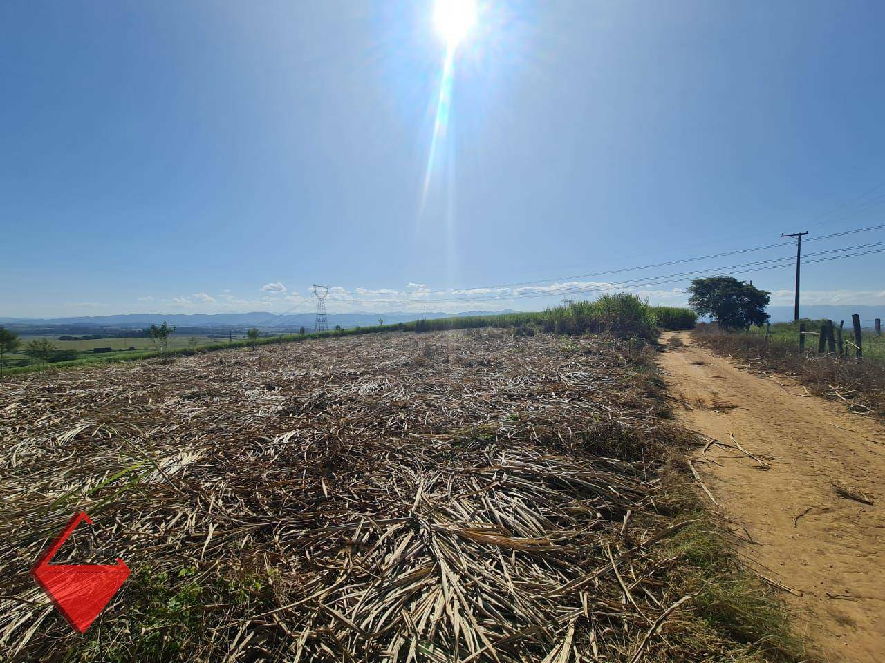 Fazenda à venda, 1040600M2 - Foto 10