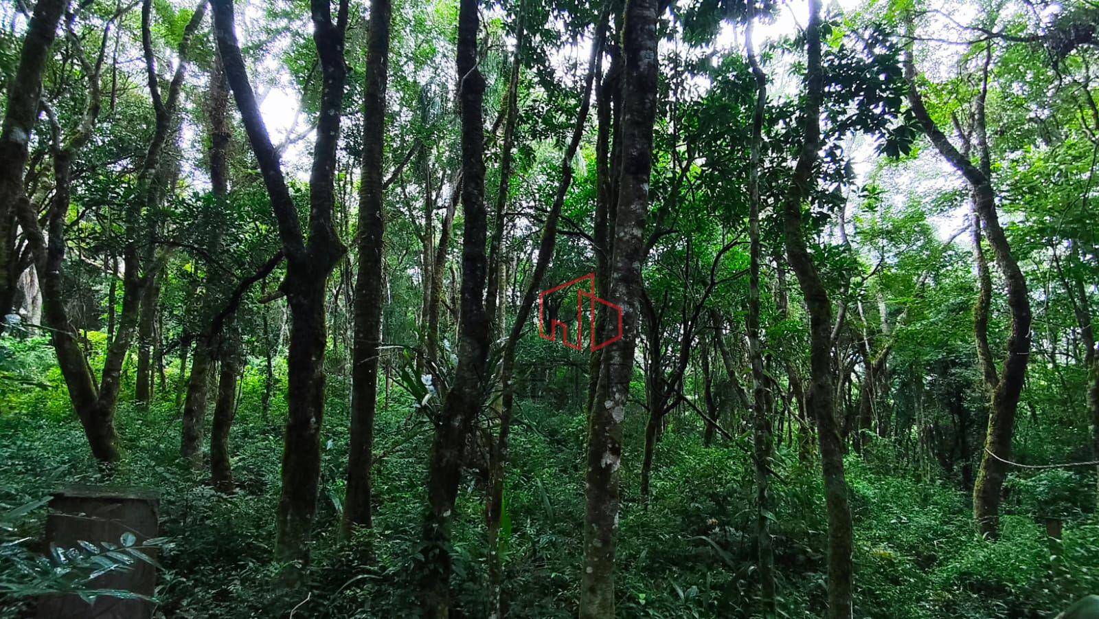 Sítio, 1 hectares - Foto 4