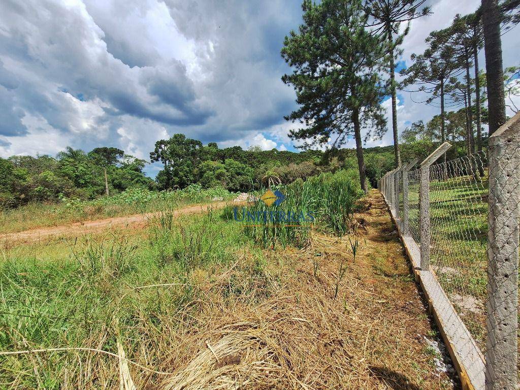 Chácara à venda, 4000M2 - Foto 8