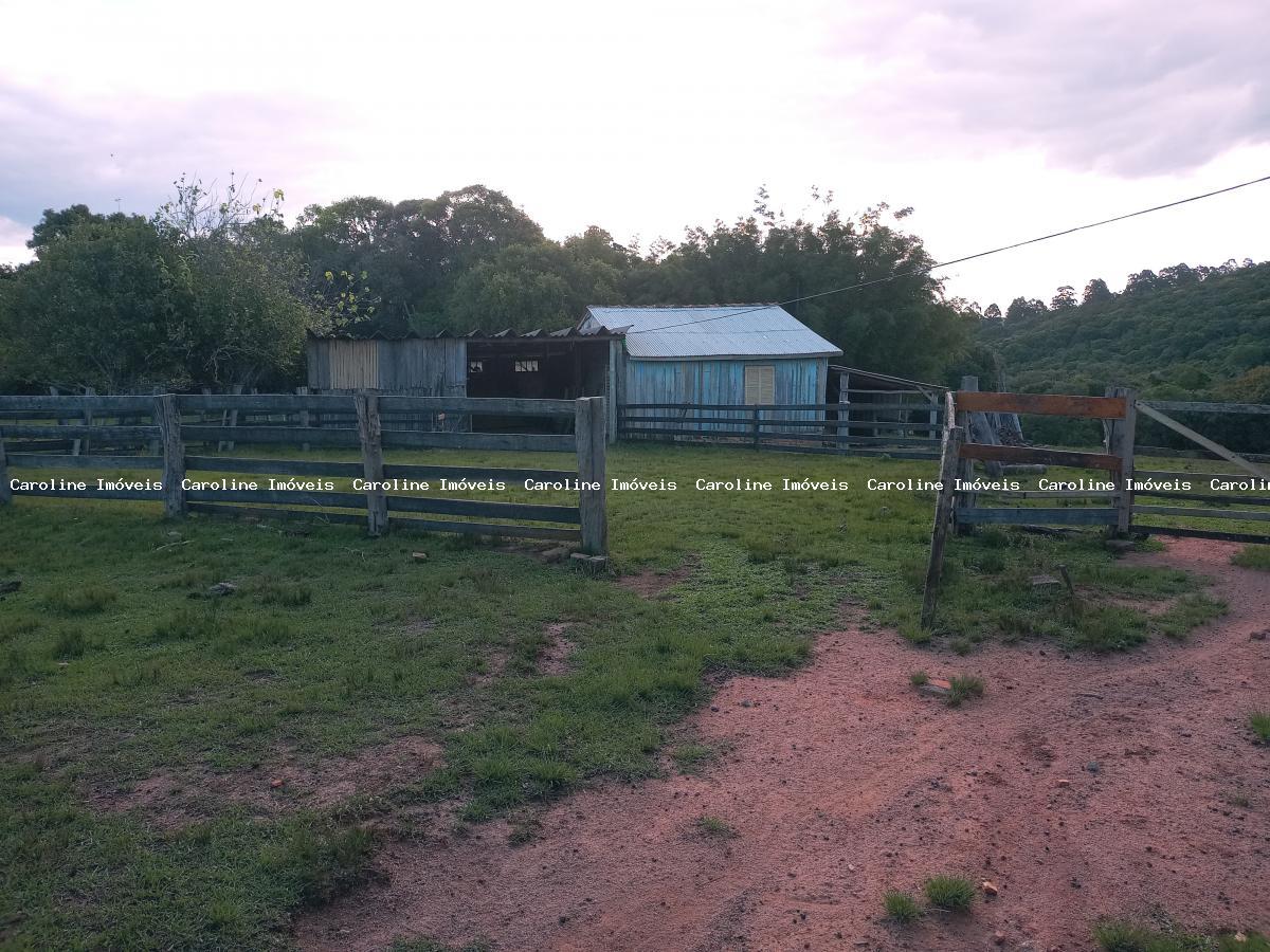 Fazenda à venda, 160000m² - Foto 5