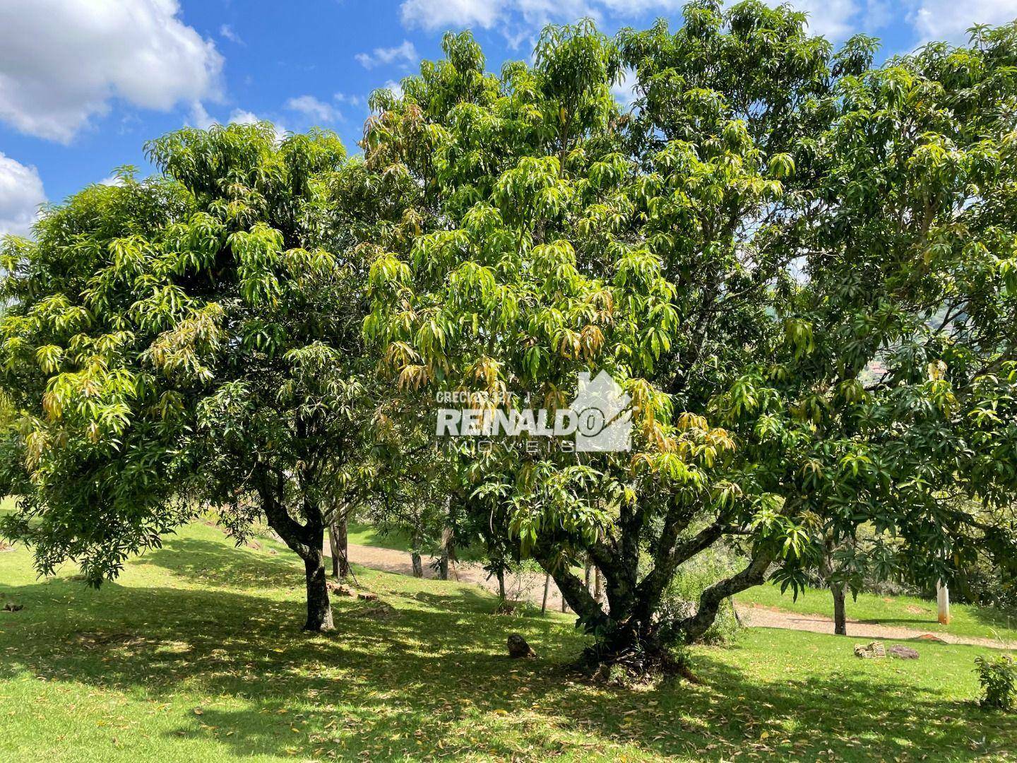 Casa de Condomínio à venda com 3 quartos, 400m² - Foto 27