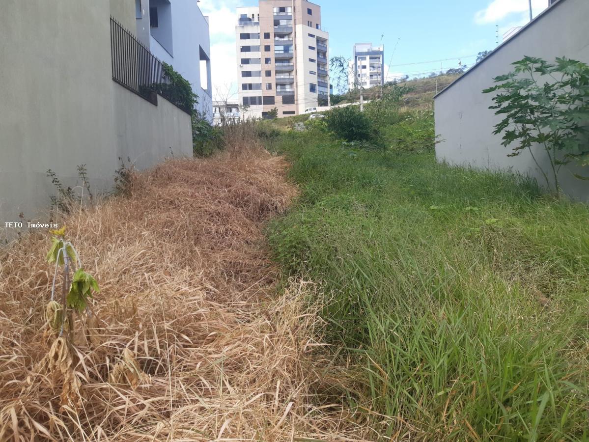 Terreno à venda, 200m² - Foto 4