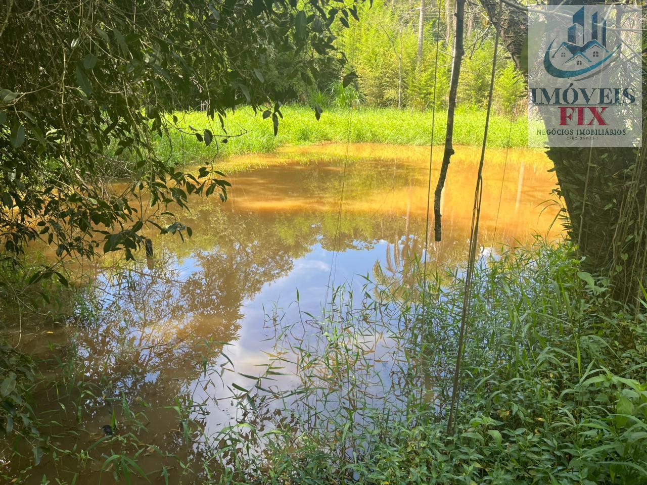 Fazenda à venda com 4 quartos, 200m² - Foto 45