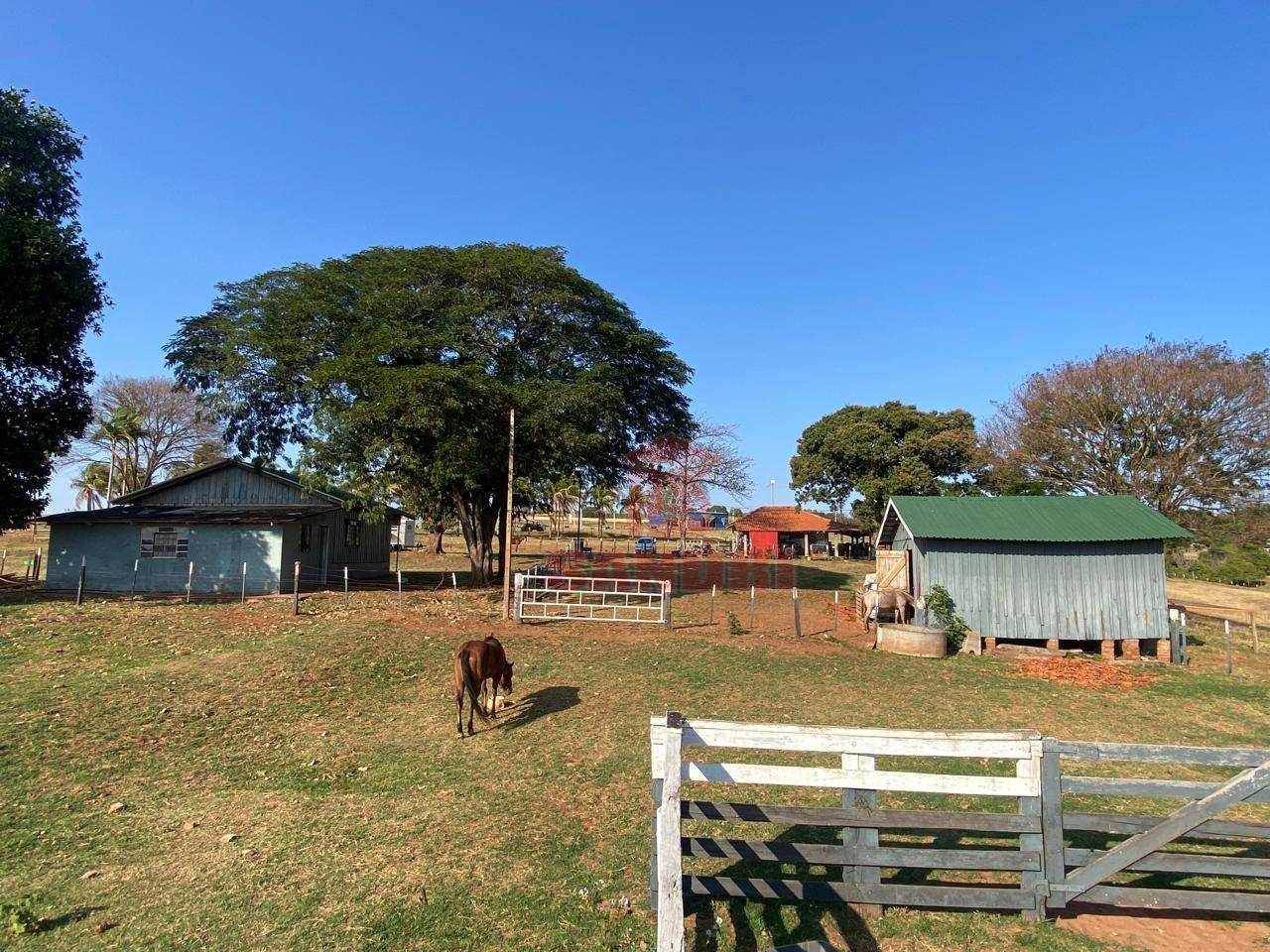 Sítio, 2 hectares - Foto 47