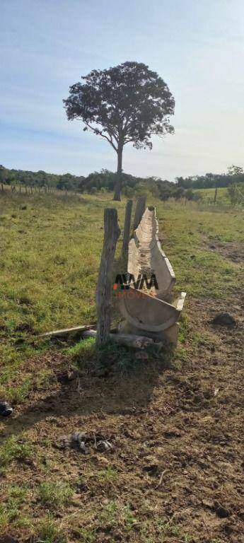 Fazenda-Sítio-Chácara, 213 hectares - Foto 14