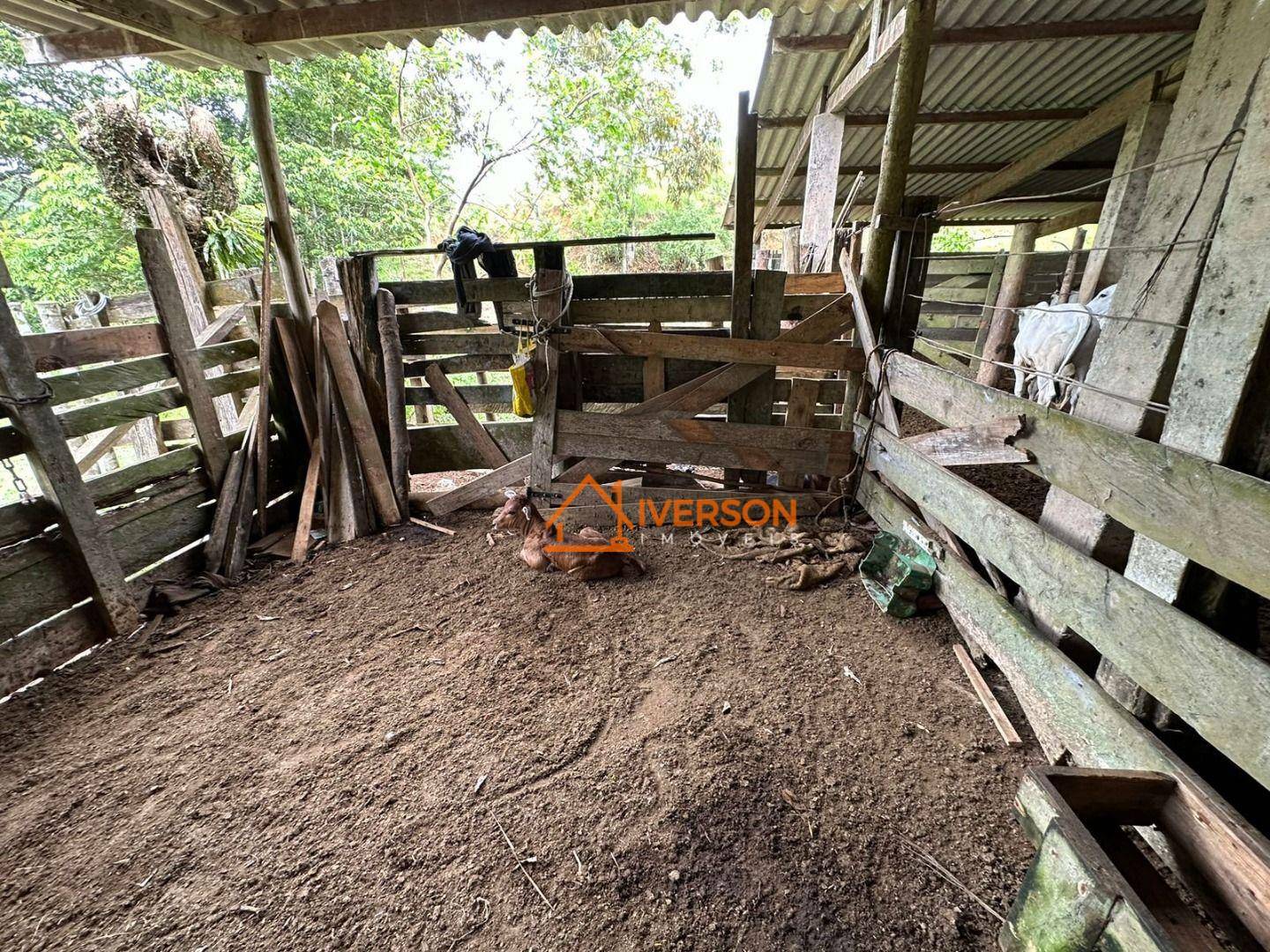 Sítio à venda com 3 quartos, 200m² - Foto 22