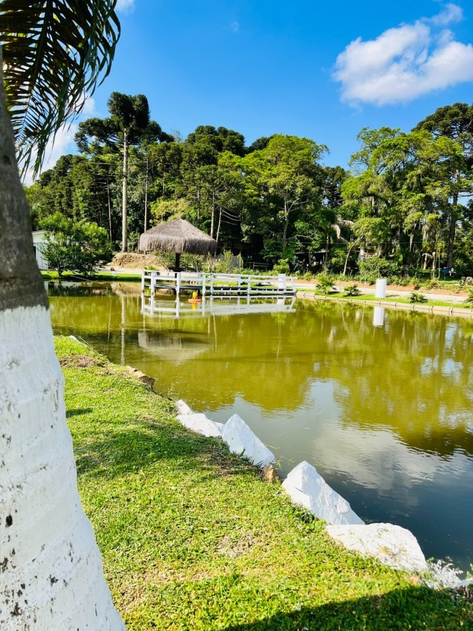 Chácara à venda, 8500m² - Foto 6
