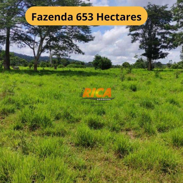 Fazenda-Sítio-Chácara, 653 hectares - Foto 1