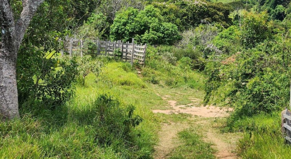 Fazenda à venda, 100m² - Foto 5