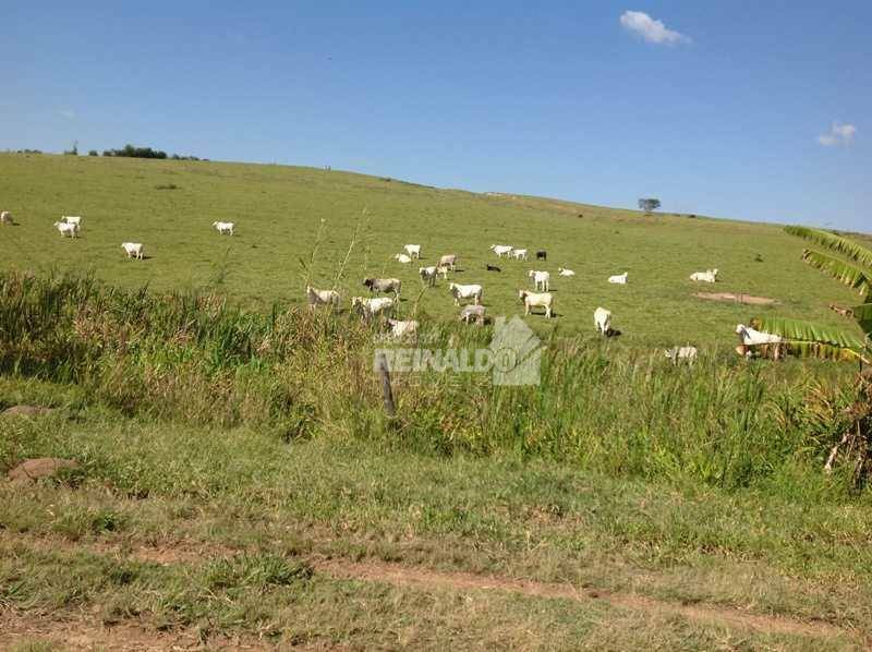 Fazenda à venda com 3 quartos, 250m² - Foto 1