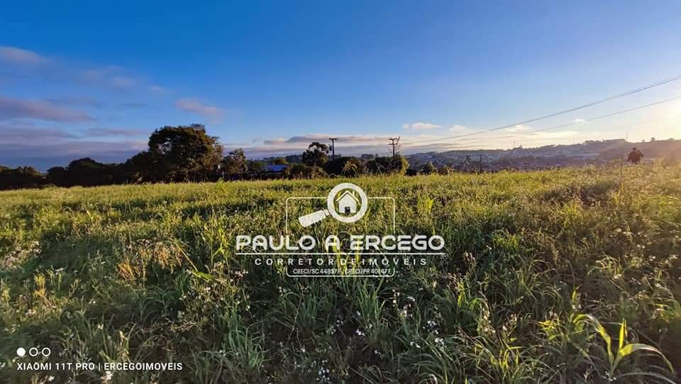 Fazenda à venda com 1 quarto, 4125m² - Foto 8