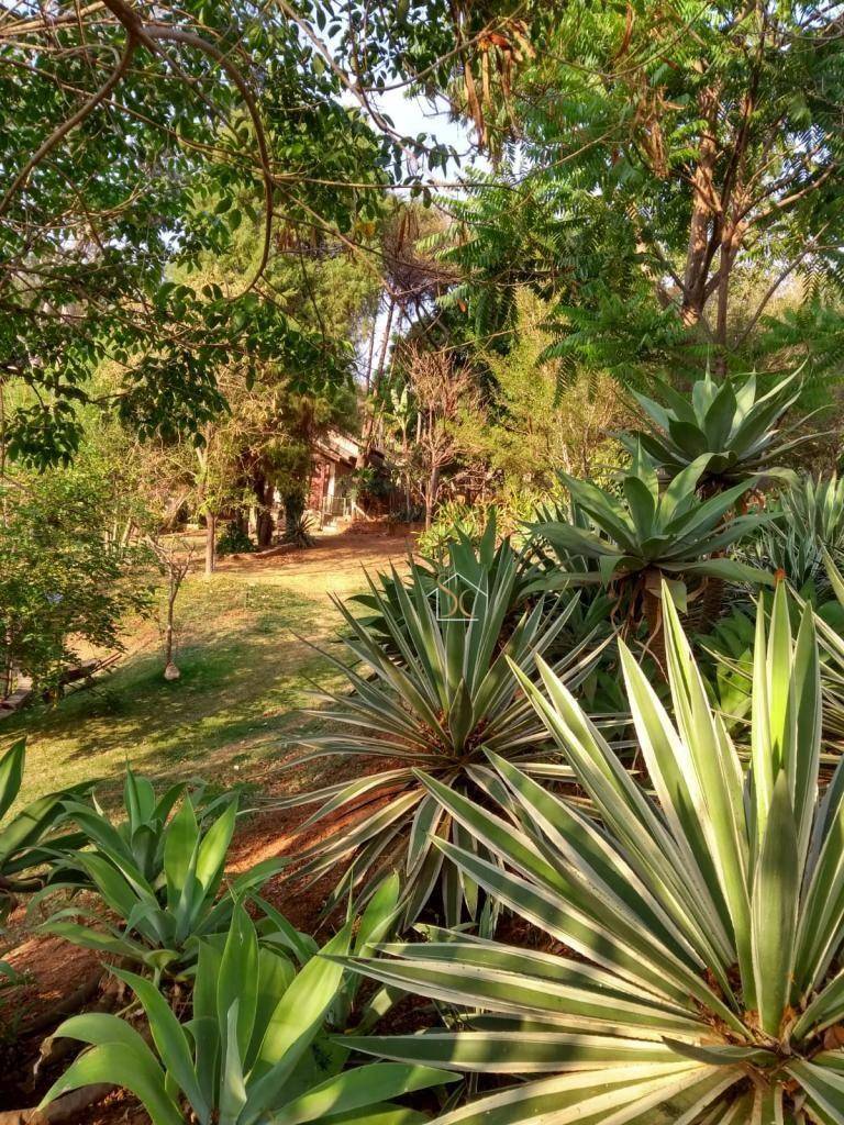 Chácara, 3 quartos, 2000 m² - Foto 9