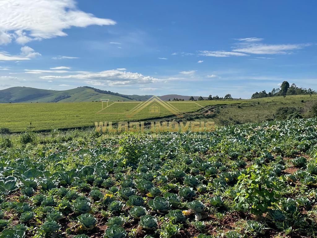 Fazenda à venda, 85m² - Foto 5