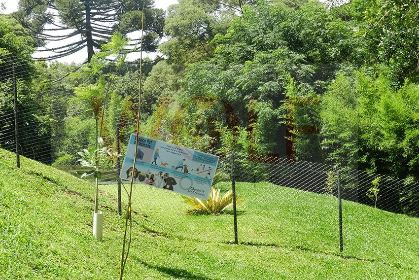 Apartamento, 3 quartos, 52 m² - Foto 25