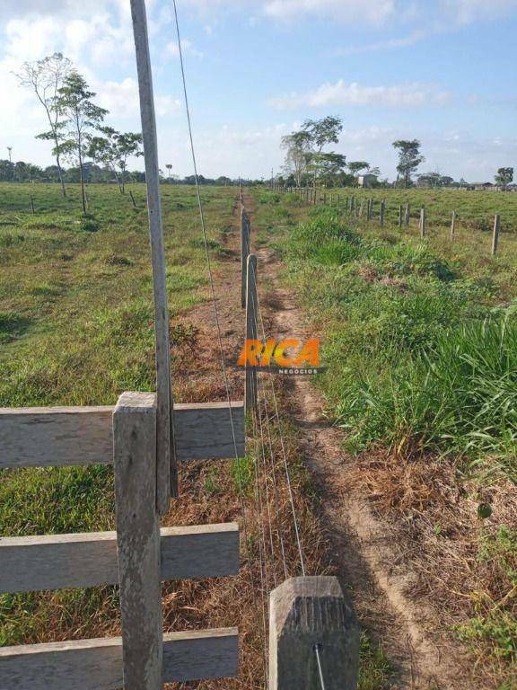 Fazenda à venda, 4530000M2 - Foto 12