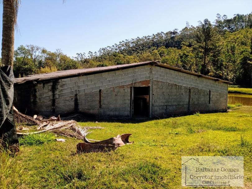 Fazenda à venda com 4 quartos, 11m² - Foto 17