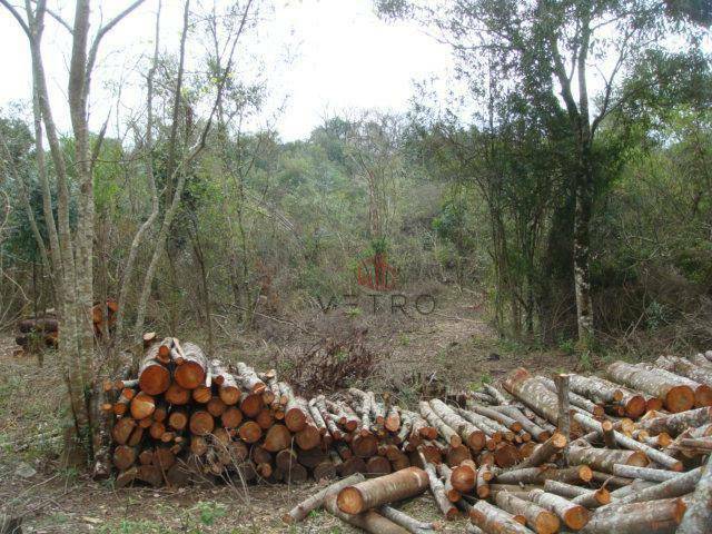 Terreno à venda, 50000M2 - Foto 5