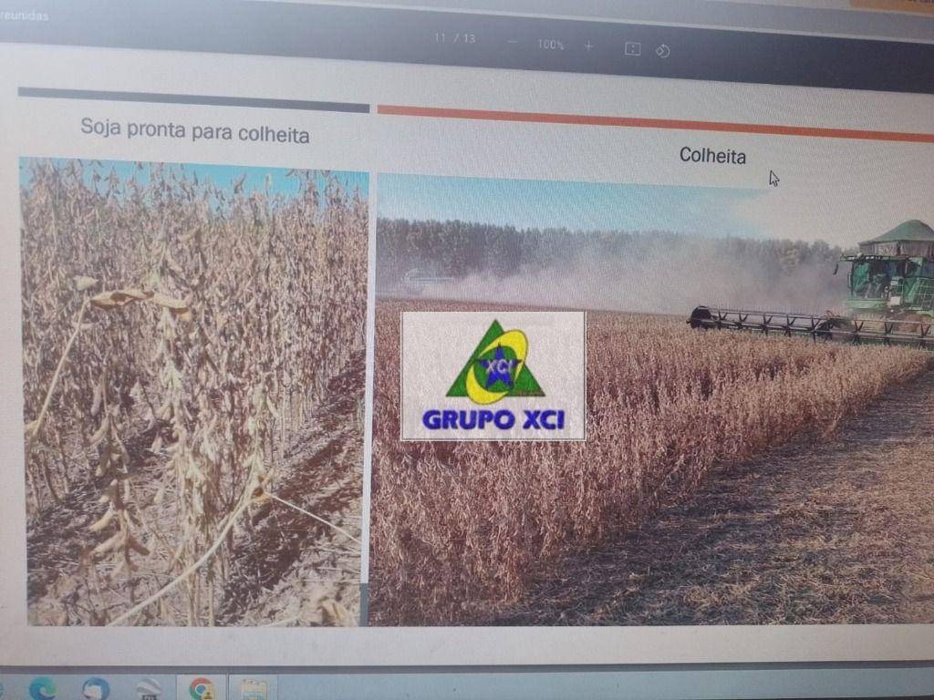 Fazenda-Sítio-Chácara, 938 hectares - Foto 4