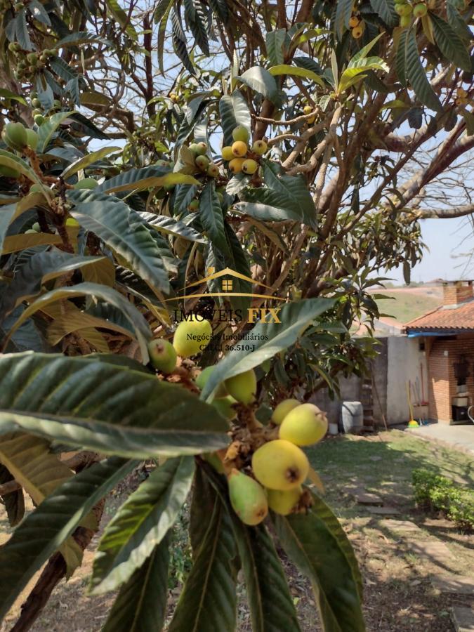 Fazenda à venda com 5 quartos, 223m² - Foto 49