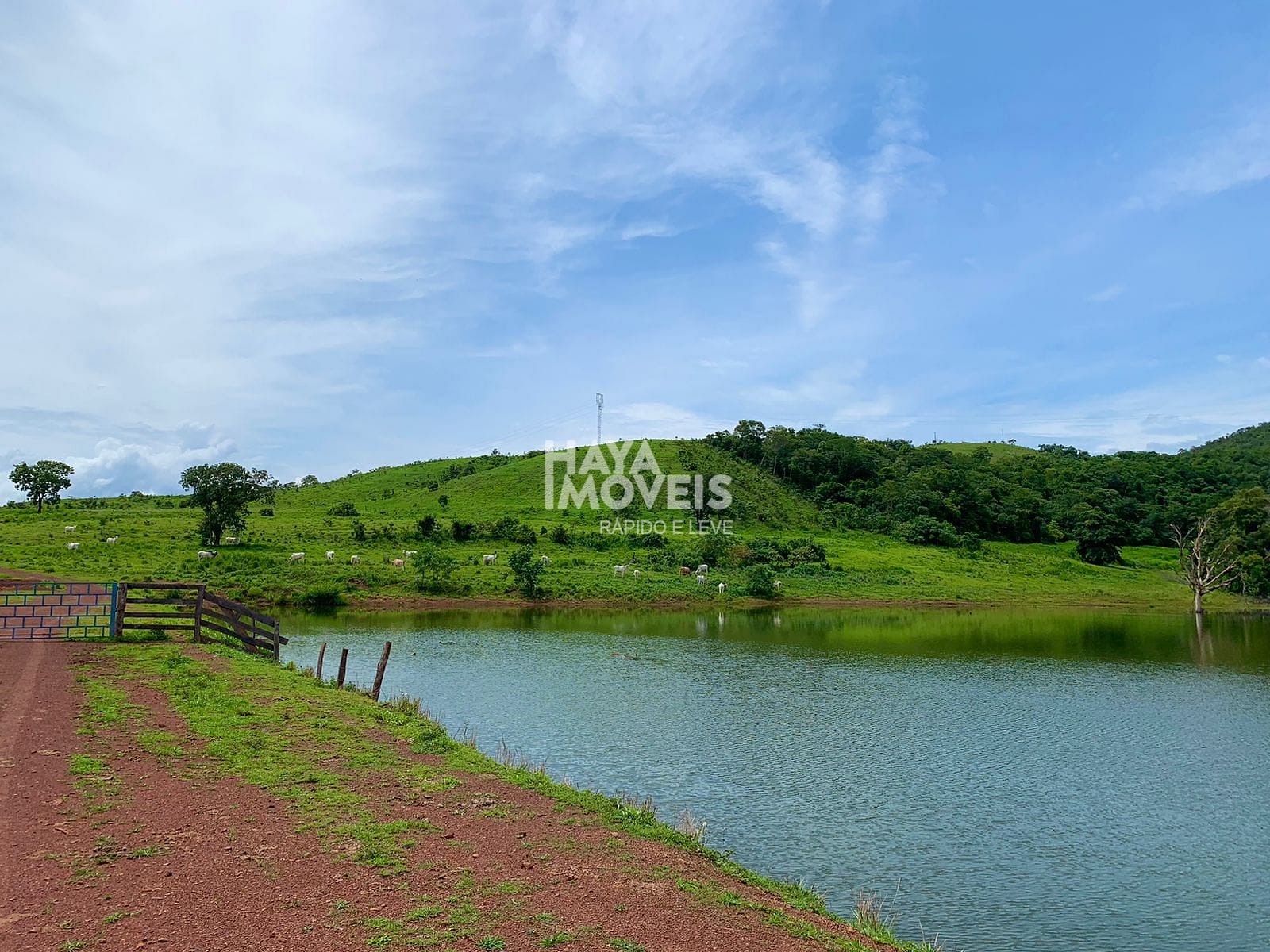 Fazenda-Sítio-Chácara, 113740 hectares - Foto 3