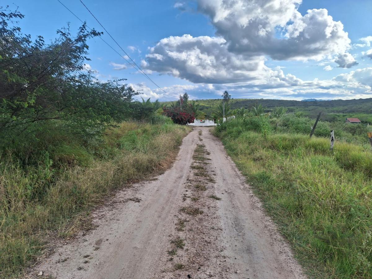 Terreno à venda, 2500m² - Foto 6