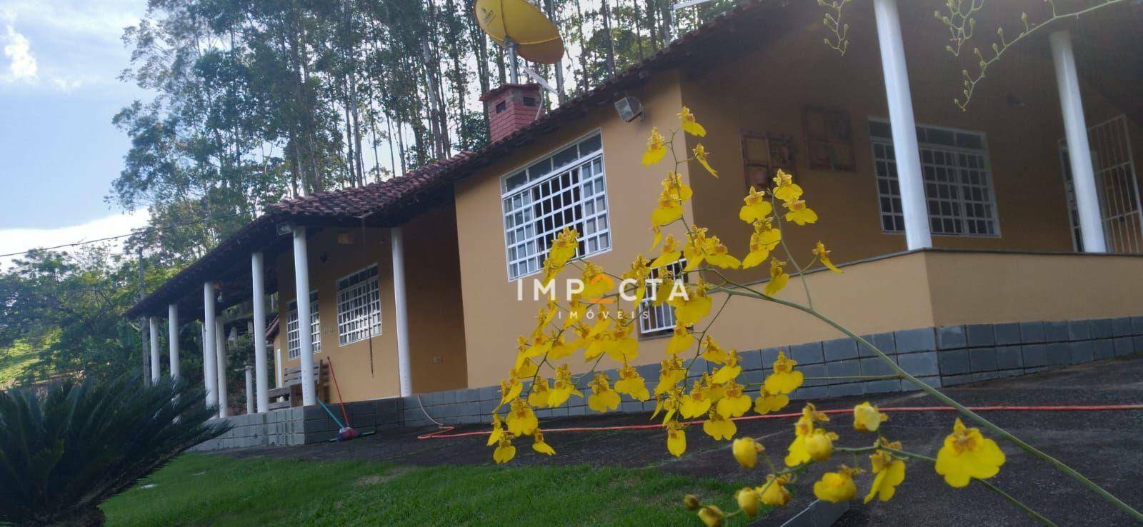 Sítio à venda com 4 quartos, 54450M2 - Foto 3