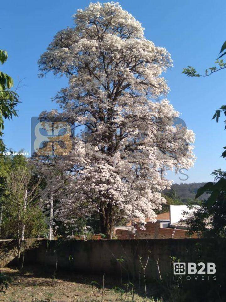 Casa à venda com 2 quartos, 2000M2 - Foto 3