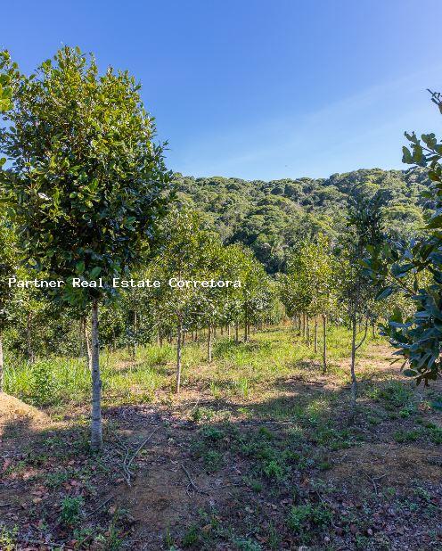 Fazenda à venda com 1 quarto, 2750000m² - Foto 2