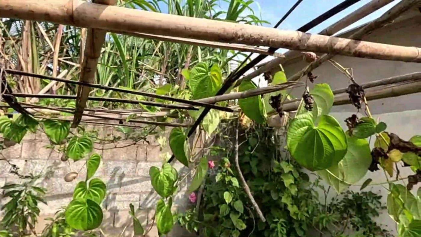 Chácara à venda com 3 quartos, 1500m² - Foto 38