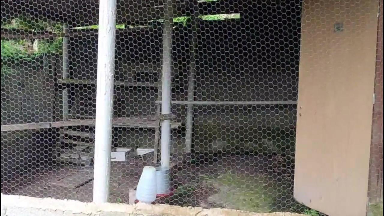 Casa de Condomínio à venda com 3 quartos, 1200m² - Foto 27