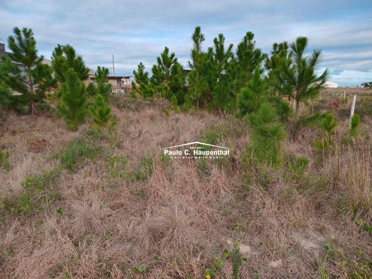 Terreno, 360 m² - Foto 1