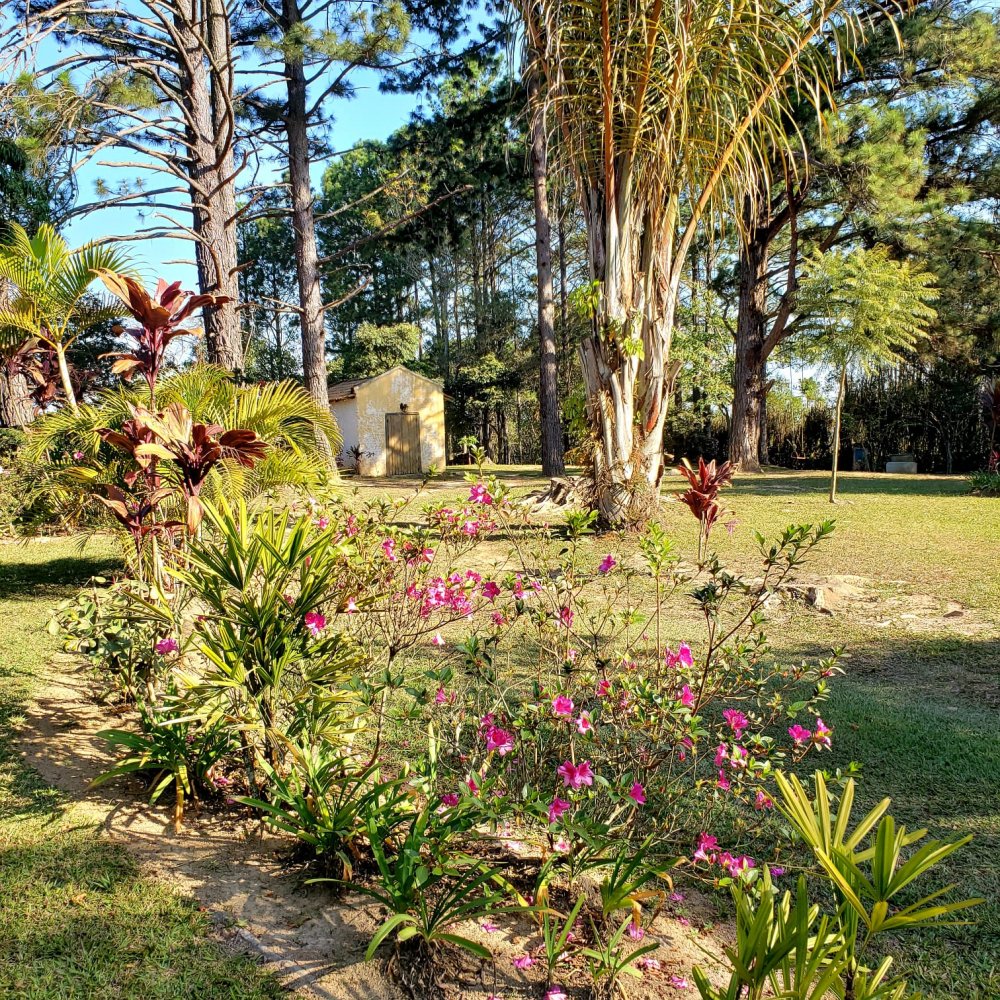 Fazenda à venda com 3 quartos, 24000m² - Foto 5