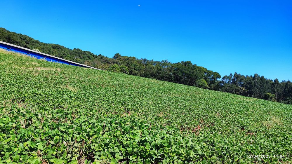 Fazenda à venda, 12m² - Foto 3