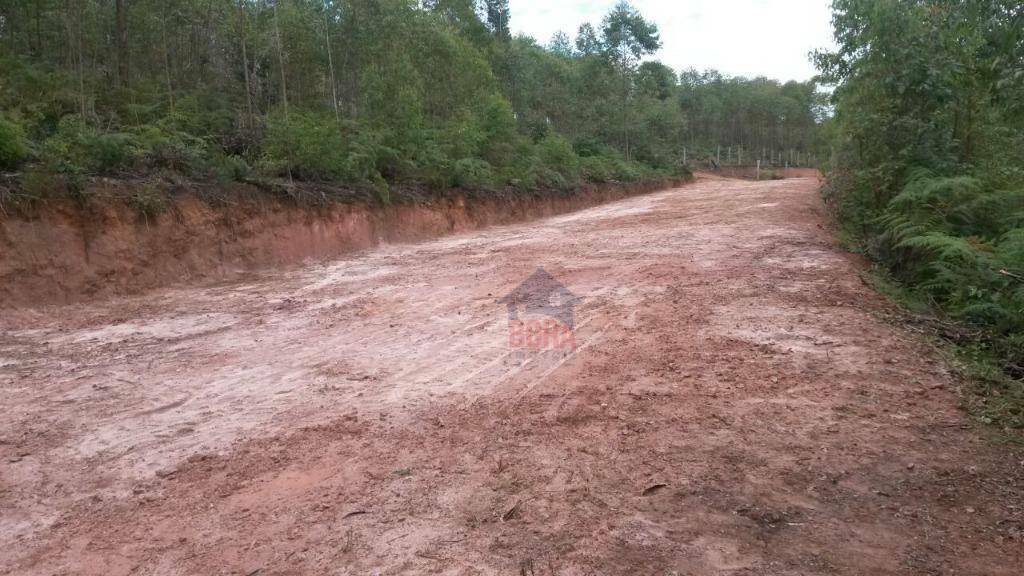 Terreno à venda, 600M2 - Foto 5